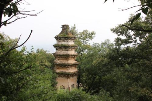 天津市公布第五批市级文物保护单位 15处不可移动文物入选