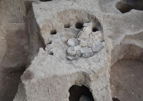 河南灵宝发现6000多年前制陶业特征显著的史前聚落