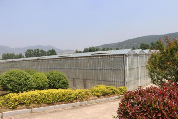 枣庄市山亭区发出首张蔬菜类农作物种子生产经营许可证