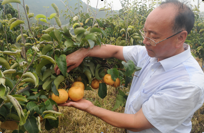 山东淄博淄川区：创业贷款助力乡村产业振兴