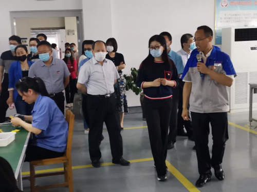 市财政局开展“六稳六保”志愿服务活动