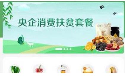 央企消费扶贫电商平台正式上线