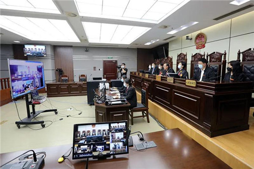 收售穿山甲领刑又罚款！青岛首起野生动物保护民事公益诉讼案宣判