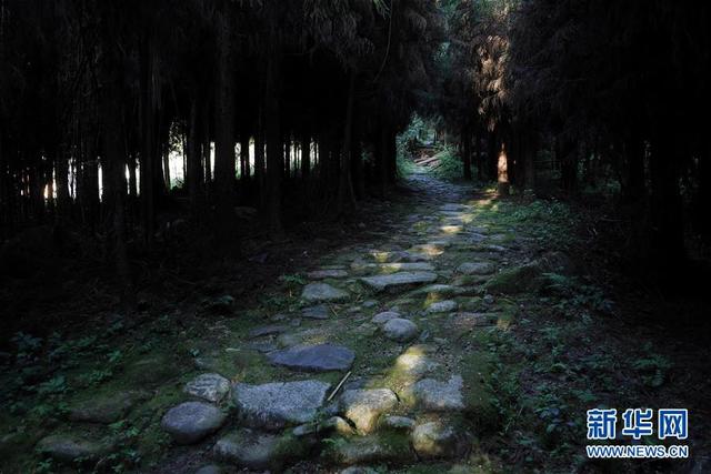 20200527111336386.jpeg b7fd5266d01609249c5188791bdd8cfce7cd34b8.jpeg