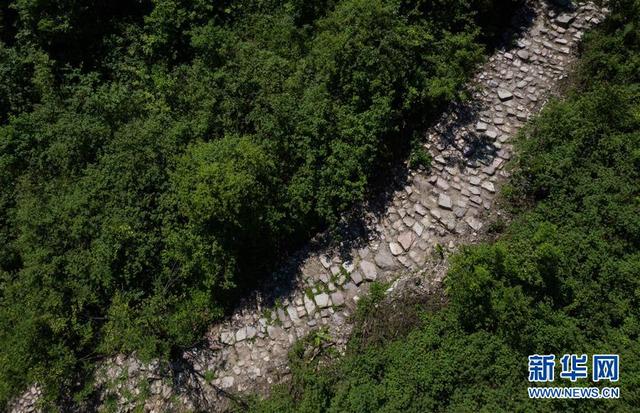 20200527111412386.jpeg d058ccbf6c81800a3e1740f37eef8afc808b47ba.jpeg