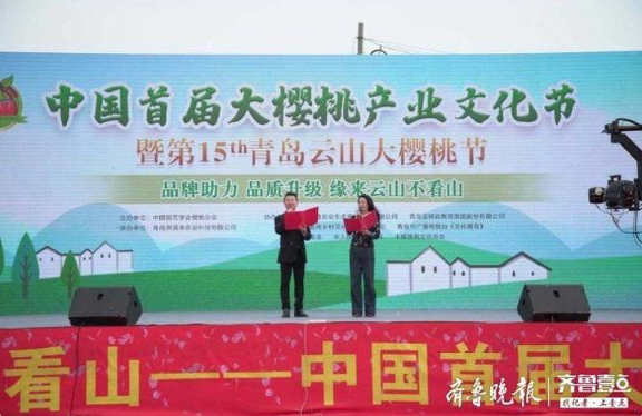 中国首届大樱桃产业文化节暨青岛云山大樱桃节开幕 