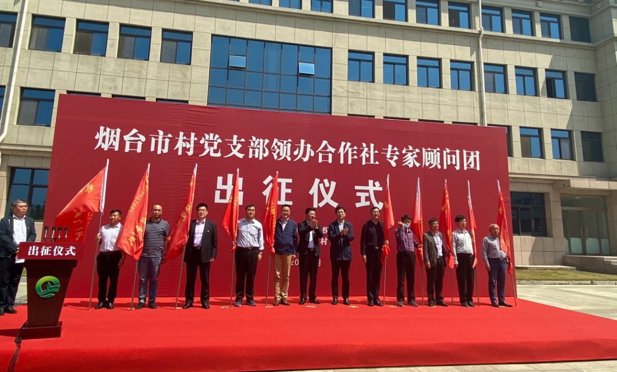 在希望的田野上：烟台百名农技专家助力乡村振兴