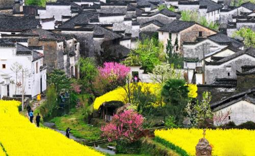 2020年上半年江西省拟定5A、4A级乡村旅游点有哪些？