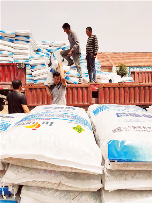 从厂家直接送到家门口!乐陵农资直购 223村尝甜头 