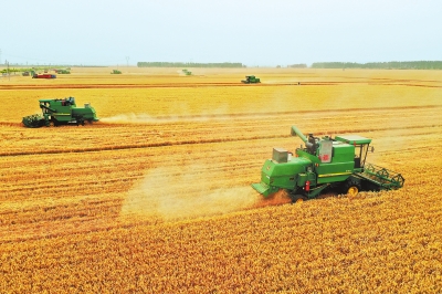 841.5公斤！修武再创全国夏粮单产新高