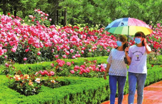 济南：繁花竞艳吐芬芳 闲游得享夏日香