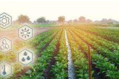 本年度新认定213家 广东省共有省重点农业龙头企业1508家