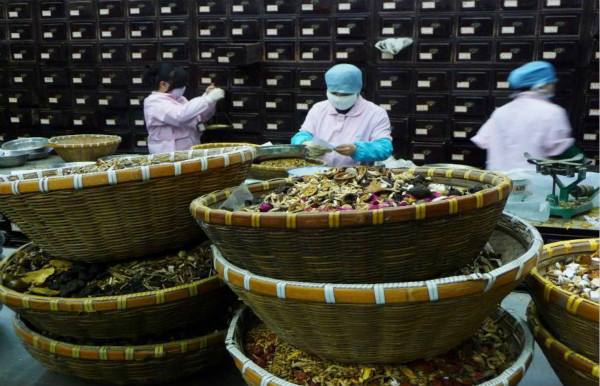 中药“出海”，先要搭好标准化的“脉”