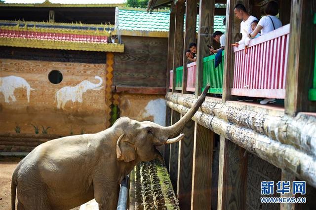 20200604102144883.jpeg 86d6277f9e2f07086796b25fb12d7c9fa801f2ea.jpeg