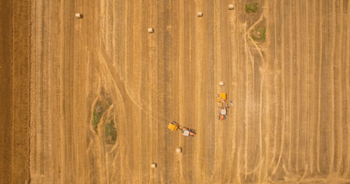 图片新闻| 小麦收割忙