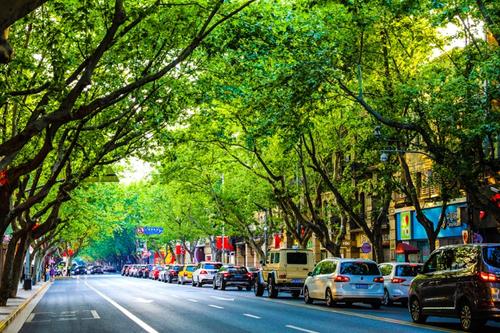 近26万家上海小店实现营收V型反弹