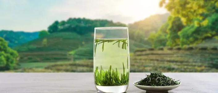 茶农业文化遗产的“机遇时刻”