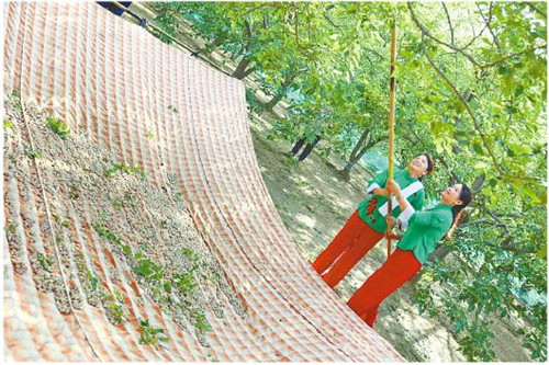 乡村振兴，看山东平度等地农业生产的“新玩法”