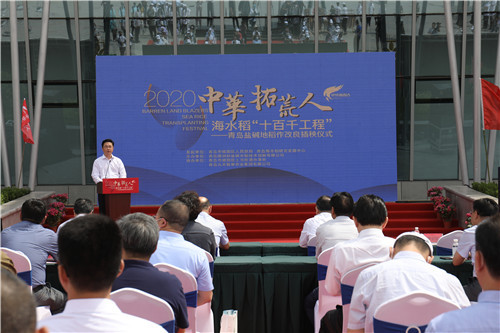 2020年中华拓荒人海水稻插秧节在青岛城阳启动