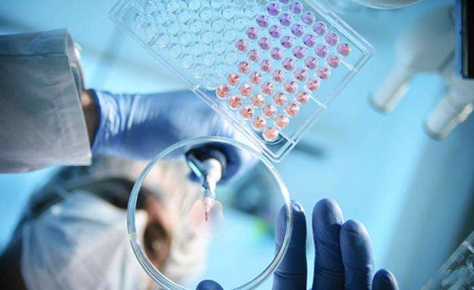 世卫组织：新冠病毒去年12月全球加速传播