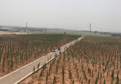 山东国舜：立足环保生产 助力绿色发展