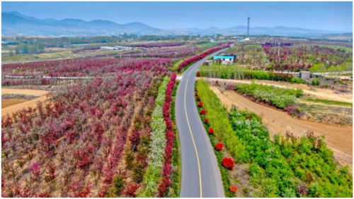 兰山：从村村通到户户通，打通最后一公里“扶贫路”
