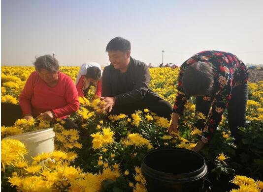 20200610120941681.jpg 20200610120941681.jpg