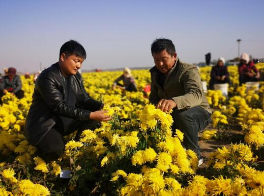 20200610121054121.jpg 20200610121054121.jpg