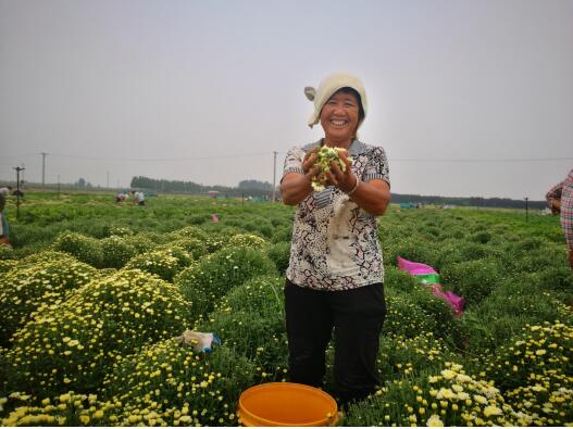 20200610121148121.jpg 20200610121148121.jpg