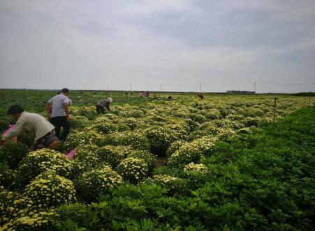 20200610121229121.jpg 15.jpg