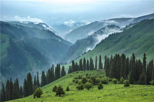 《全国重要生态系统保护和修复重大工程总体规划（2021-2035 年）》相关问题解答