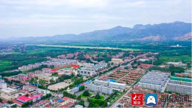 新泰市打好村集体经济“跨五跃十”组合拳