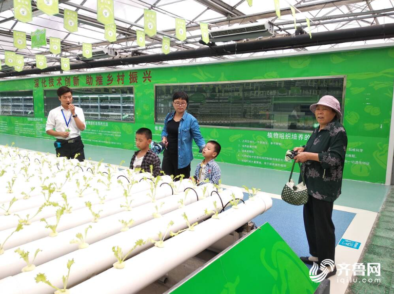 山东推出94条具体措施 促进消费提质升级 