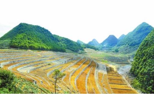 变“输血”为“造血” ！云南文山着力巩固脱贫成效