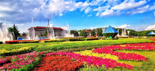 新风口乘势而上 