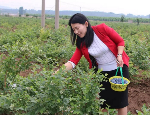 你想要的优质农产品都有！临报优品在天基百润乐家超市新鲜开卖
