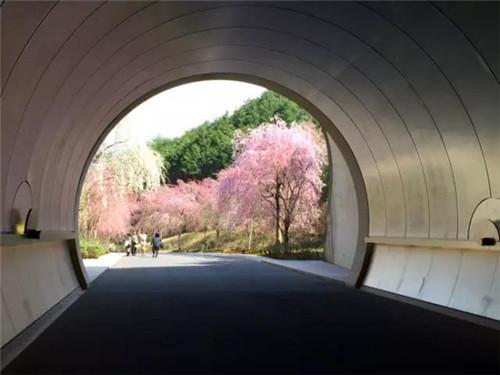 日本一艺术展 鼓励观众“偷走”展品