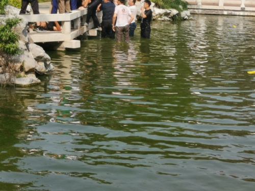 生死一线！三儿童水塘溺水！民警飞奔纵水救人！