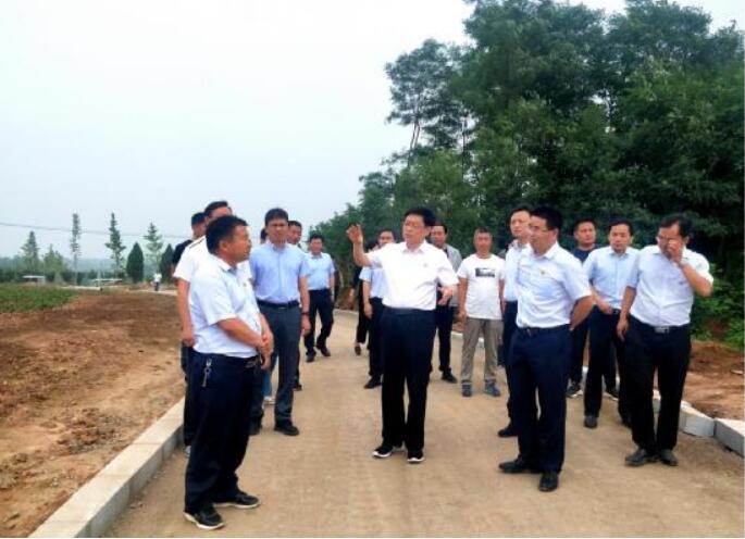 河南省渑池县委书记杨跃民调研仰韶村国家考古遗址公园项目建设情况