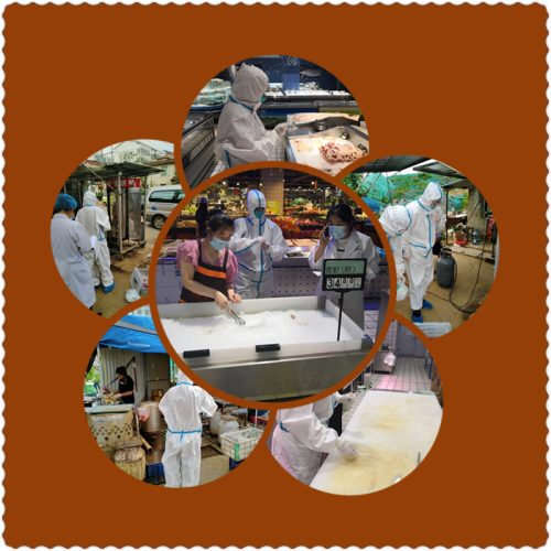 新冠病毒核酸检测：全市800多份外环境标本均为阴性