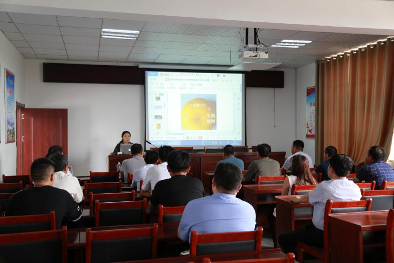 山亭：果农培训助力乡村振兴