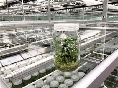 20200627110131386.jpg 10247513722169830930.jpg