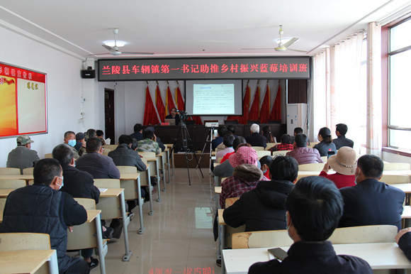 “蓝美人”拉动生产链 小产业带动大发展