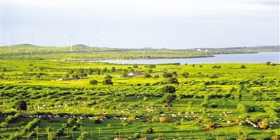 全面推进乡村振兴，山西准备这么干