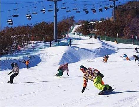 辽宁:滑雪产业直接消费和拉动相关产业8.5亿元