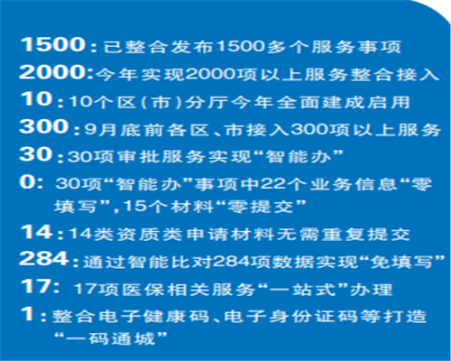1500多个事项“掌上办”！“青岛政务通”APP2.0正式上线运行