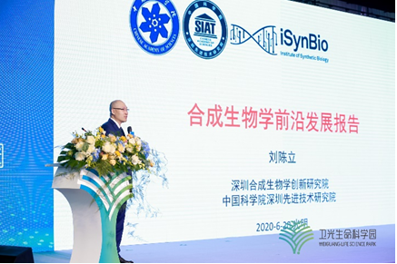 20200702221827356.png 5.png