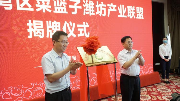 整合资源优势！潍坊全力建设蔬菜标准化先行示范区