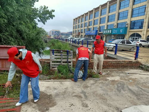 兰山区枣园镇党员志愿服务助力人居环境整治提升