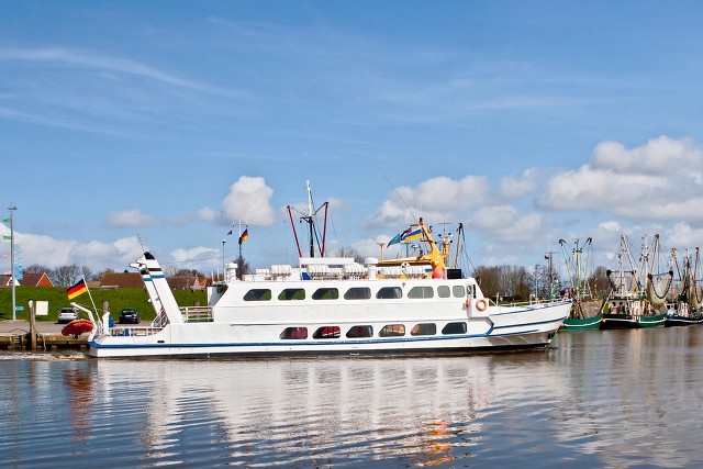 热点！大连港股票吧“口碑载道”